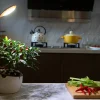 Modern Sprout, LLC. Self-Watering Planter with LED Grow Light