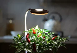Modern Sprout, LLC. Self-Watering Planter with LED Grow Light