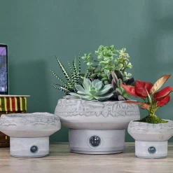 Bloomscape Self-Watering Rock Garden Pot System for Indoor Plants (Set of 3)