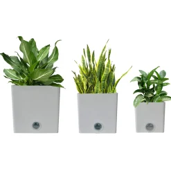 EP DESIGN LAB Self-Watering Square Pot System for Indoor Plants (Set of 3)