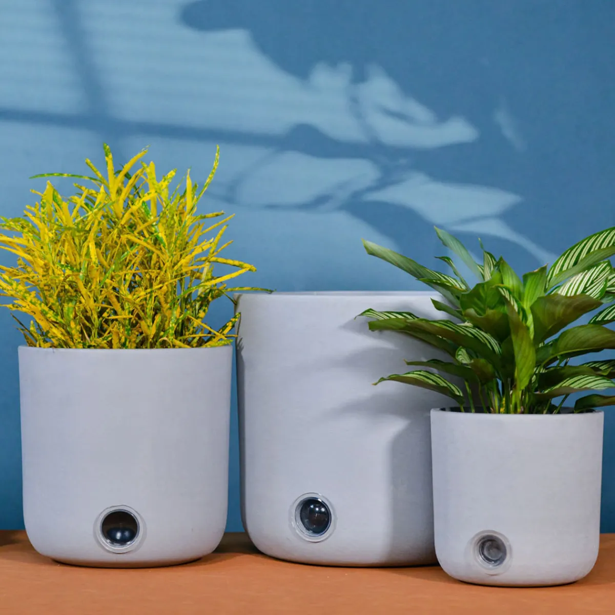EP DESIGN LAB Self-Watering Tall Cylinder Pot System for Indoor Plants (Set of 3)