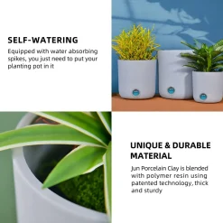 EP DESIGN LAB Self-Watering Tall Cylinder Pot System for Indoor Plants (Set of 3)