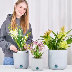 EP DESIGN LAB Self-Watering Tall Cylinder Pot System for Indoor Plants (Set of 3)