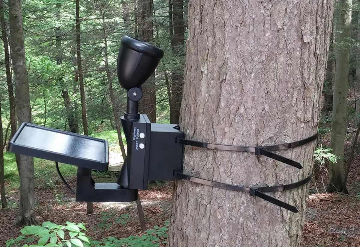 Maxsa Innovations Solar LED Flagpole Light