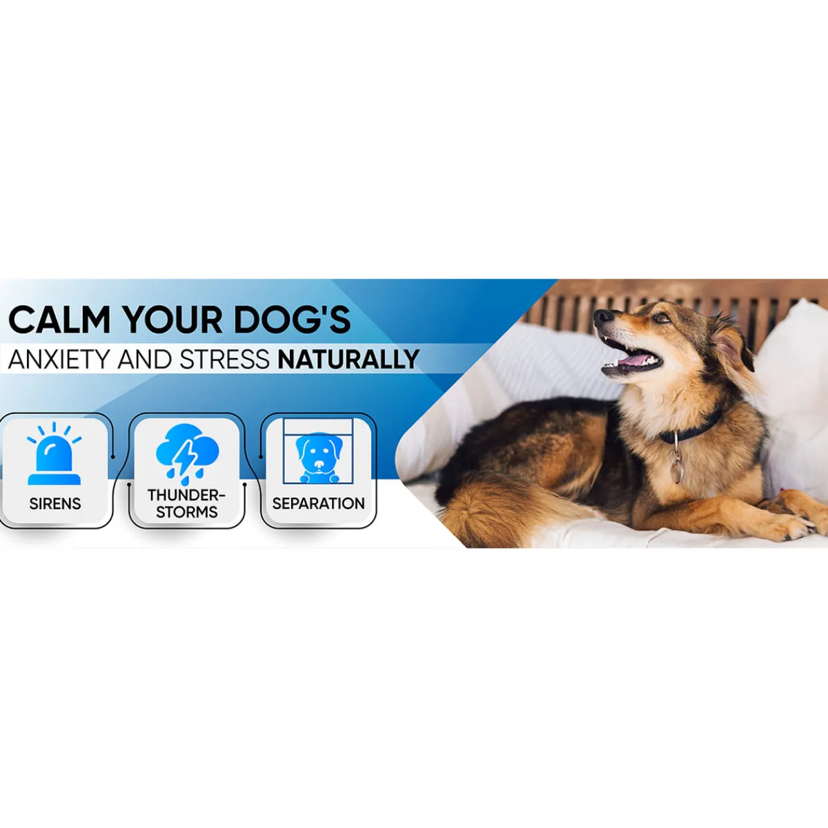 LED Technologies, LLC Sound Soother for Pets