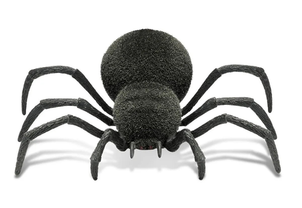 MerchSource Spooky RC Spider