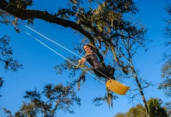 Flybar Inc Tree Swing Surf Board