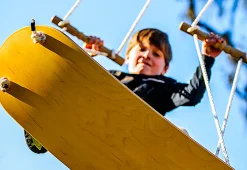 Flybar Inc Tree Swing Surf Board
