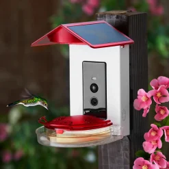 Sharper Image Video Camera Hummingbird Feeder by