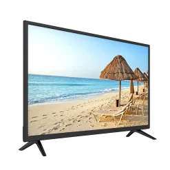 Naxa Electronics 32'' TV with Built-in DVD Player